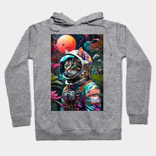 Galactic Whiskers Hoodie